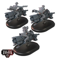 Vengeance of the Earps Posse