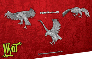Trained Raptors ( 3 x Single M3E Models of From Above)