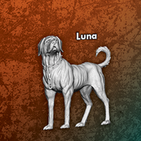Luna - Single Model from the Lucas Core Box (M3E Version)