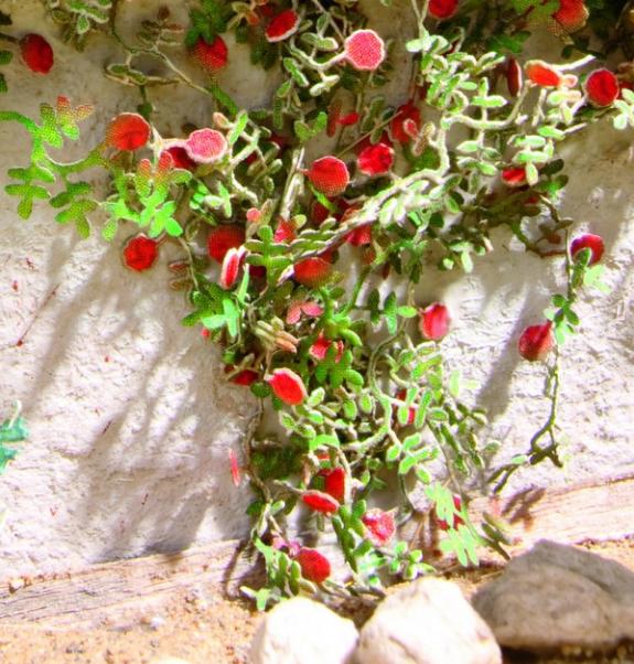 Terrain Accessories: Laser-Cut minis Rambler roses, 6 plants